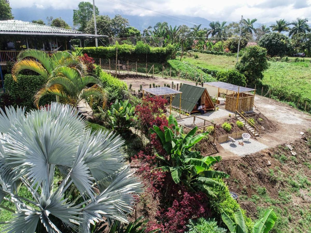 Villa Alejandra Del Quindio Calarca Exterior photo